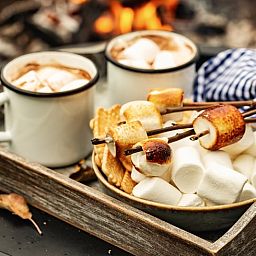 Warme chocolademelk en marshmallows bij kampvuur in Vakantiehuisje in Haarlo, Achterhoek, Gelderland.