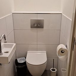 Stijlvolle badkamer in Vakantiehuisje in Wichmond, Achterhoek, met modern toilet en wastafel.