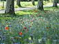 Guest house 293302 • Holiday property Achterhoek • Huisje in Zutphen  • 8 of 26