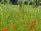 Verblijf 293404 • Vakantiewoning Achterhoek • Vakantiehuisje in Geesteren  • 5 van 26