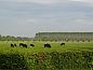 Verblijf 293518 • Vakantiewoning Achterhoek • Huisje in Vorden  • 9 van 25