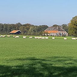 Vakantiehuis in Vorden Achterhoek te midden van groene velden en grazende schapen, biedt rust en natuur in Gelderland.