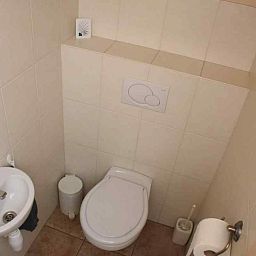 Ruhiger Garten des Ferienhauses DG126 in Vorden, Achterhoek, Gelderland mit Terrasse und Baeumen.