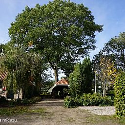 Unterkunft 293721 - Ferienhaus Achterhoek - Saksisch boerderijtje