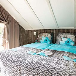 Unterkunft 294727 - Ferienhaus Achterhoek - Villa 14 personen Wellness (Spa)