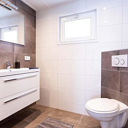 Modernes Badezimmer mit Dusche und Waschbecken in Wilgenhoeve 5 Personen Ferienhaus, Lichtenvoorde, Achterhoek, Gelderland.
