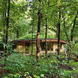 Rustieke vakantiewoning in Neede, Achterhoek, omgeven door dichte bossen in Gelderland.