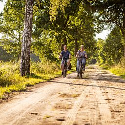 Fietsen in de omgeving van Vakantiehuisje in Neede, Achterhoek, langs groene paden en rustgevende natuur.