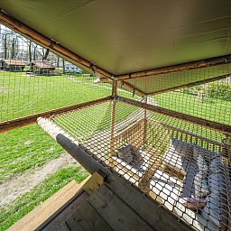 Verblijf 294816 - Vakantiewoning Achterhoek - Ranger Lodge