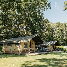 Unterkunft 294817 - Zelthaus Achterhoek - Safaritent