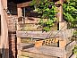 Guest house 296210 • Holiday property Achterhoek • Vakantiehuisje in Breedenbroek  • 13 of 26