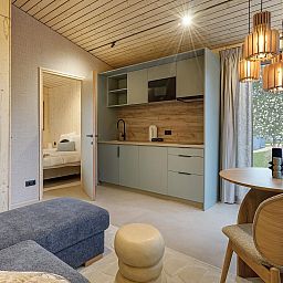 Unterkunft 297008 - Ferienhaus Achterhoek - Nature Home | 2 Pers. Sauna & Hottub