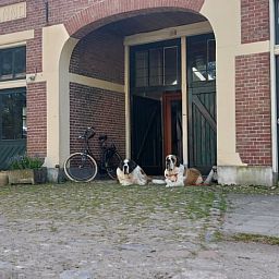 Verblijf 297405 - Vakantiewoning Achterhoek - Vakantiehuisje in Winterswijk Woold
