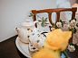 Guest house 297406 • Holiday property Achterhoek • Vakantiehuis in Winterswijk Woold  • 5 of 10