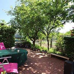 Zonnig terras bij Vakantiehuisje in Winterswijk Woold, perfect voor een kopje koffie in de natuur van de Achterhoek, Gelderland.