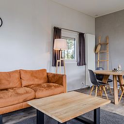 Cozy living room in De Vlinderhoeve, 4-person bungalow in Kring van Dorth, Achterhoek. Comfortable seating area with modern furnishings.