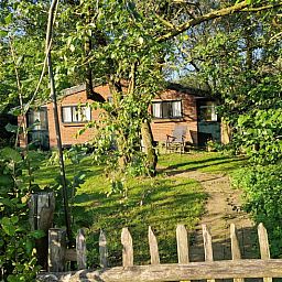 Sfeervolle herfsttuin van Vakantiehuis in Voorst Oude IJsselstreek, Achterhoek, Gelderland met hond in de tuin.