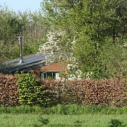 Gezellige woonkamer in Vakantiehuis in Voorst Oude IJsselstreek, Achterhoek, Gelderland met oranje bank en tapijt.