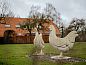 Guest house 300103 • Holiday property Veluwe • Groepsaccommodatie Dickenes  • 9 of 26