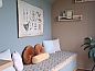 Guest house 300812 • Holiday property Gelderse vallei • Vakantiehuisje in Empe  • 4 of 16