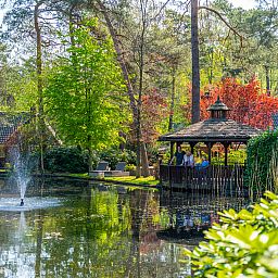 Unterkunft 3201201 - Ferienhaus Veluwe - EuroParcs Beekbergen