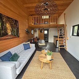 Guest house 3201202 - Holiday property Veluwe - Vrijstaande woning in Beekbergen