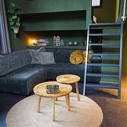 Guest house 320170 - Holiday property Veluwe - Tiny House 4
