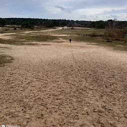Unterkunft 320530 - Chalet Veluwe - Chalet 2