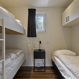 Guest house 3206196 - Holiday property Veluwe - Module Wood 5 personen