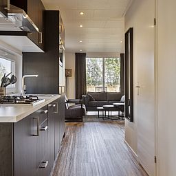 Guest house 3206196 - Holiday property Veluwe - Module Wood 5 personen