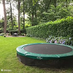 Guest house 3206202 - Holiday property Veluwe - Het Boshuis