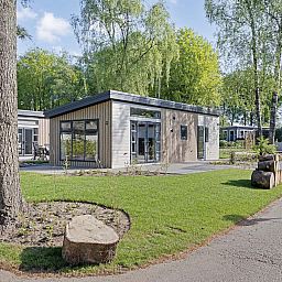 Umgebung des Ferienhauses Module Nova in Ede, Veluwe, mit Rasen und Bumen.