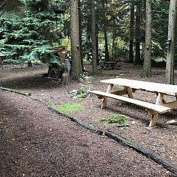 Aussenansicht des Ferienhauses DG1298 in Emst, Veluwe, umgeben von Natur.