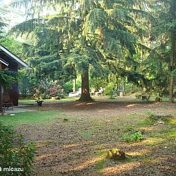Verblijf 3208121 - Vakantiewoning Veluwe - Winterkoning