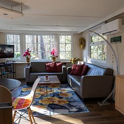 Bright living space in Holiday Home in Emst, Gelderland, with comfortable sofas.