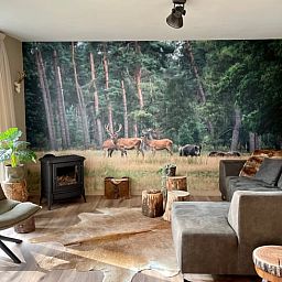 Wohnzimmer des Ferienhauses in Emst mit Walddekor, Veluwe, Gelderland.