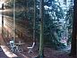 Guest house 320855 • Holiday property Veluwe • Vakantiehuisje in Emst  • 5 of 21