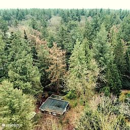 Verblijf 320883 - Vakantiewoning Veluwe - Wildlodge