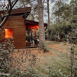 Verblijf 320884 - Vakantiewoning Veluwe - Boshuisje de Tjiftjaf