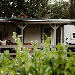 Verblijf 320890 - Chalet Veluwe - Het Goudhaantje Emst
