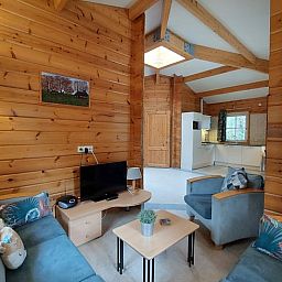 Moderne woonkamer van Huisje in Ermelo met comfortabele meubels en een uitnodigende sfeer.