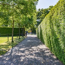 Gezellige binnenruimte van vakantiehuis DG1560 in Ermelo, Veluwe, Gelderland met kleurrijke inrichting en uitzicht op de natuur.