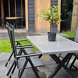 Geniessen Sie den ruhigen Garten mit Terrasse im Ferienhaus in Ermelo, Veluwe, Gelderland. Perfekt fuer einen erholsamen Aufenthalt in der Natur.