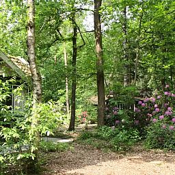 Verblijf 3209154 - Vakantiewoning Veluwe - De Hazelaar, huis nr. 128