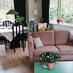 Verblijf 3209154 - Vakantiewoning Veluwe - De Hazelaar, huis nr. 128