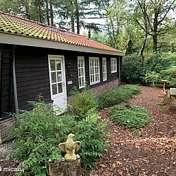 Verblijf 3209158 - Bungalow Veluwe - Vakantiehuisje op de Veluwe