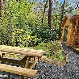 Verblijf 3209159 - Chalet Veluwe - Boshuisje Hans &amp; Klaartje