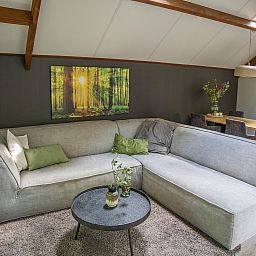 Guest house 3209162 - Holiday property Veluwe - Heivlinder 4p