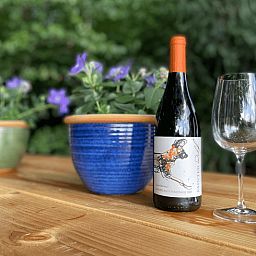 Wein und Glaeser auf dem Tisch im Ferienhaus in Ermelo, Veluwe, Gelderland.