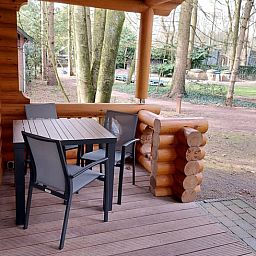 Geniessen Sie die waldige Aussicht von der Veranda des Huisje in Ermelo, einem gemuetlichen Ferienhaus an der Veluwe in Gelderland.